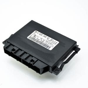 Calculateur Mercedes-Benz S-CLASS (W220) 1998–2005 S 320 CDI (220.026, 220.126) OM 613.960 A0295456132